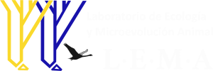 logo-LEMA-bco-300p